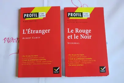 Lot de 2 « PROFIL d’une ŒUVRE » HATIER