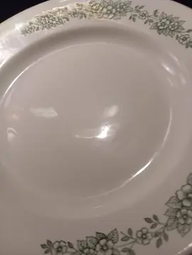 1 assiette blanche avec fleurs vertes