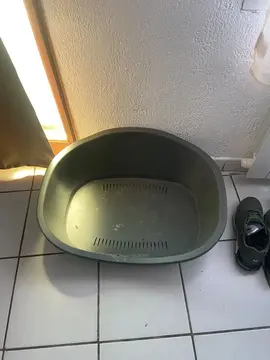 panière chien