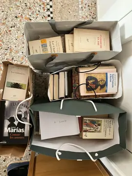Lot d'une centaine de livres