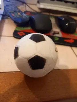 petit ballon qui fait plus de bruit pour petit chien