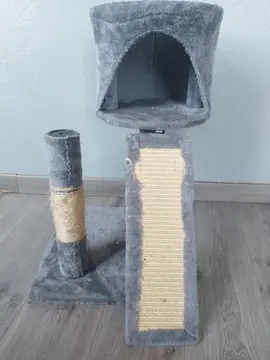 arbre à chat