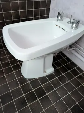 bidet