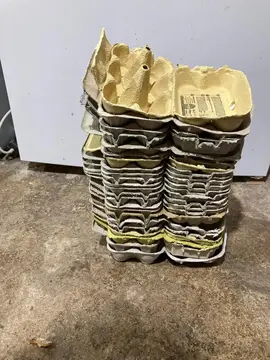 boite à oeufs
