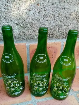 Bouteilles vides avec décoration
