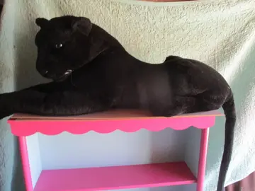 panthère peluche