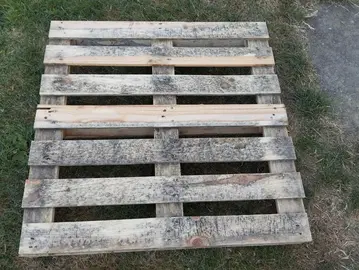 palette en bois