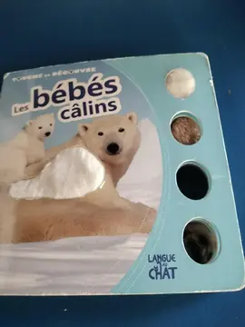 bébés câlins