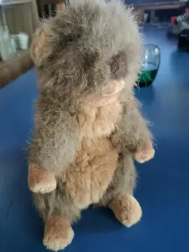 peluche