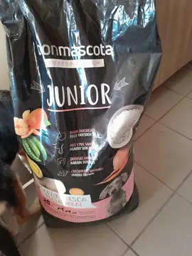 donne croquettes chiot