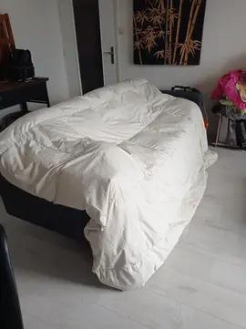 couette en duvet d'oie 280x280