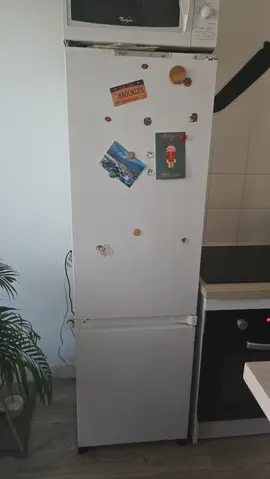 frigo