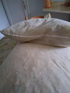 coussin en mousse
