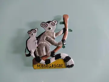 magnet de Madagascar