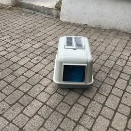 litière pour chat