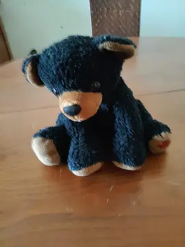 peluche ours