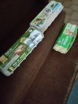 boites d'oeufs vides