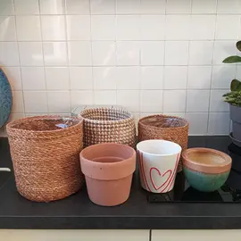 Lot de cache pots