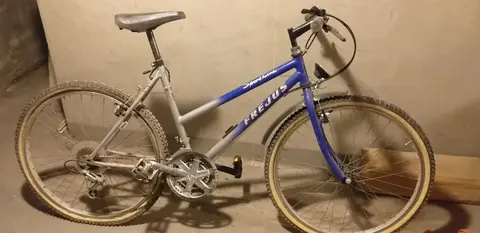 VELO ADULTE