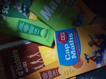 Manuels et classeurs scolaires