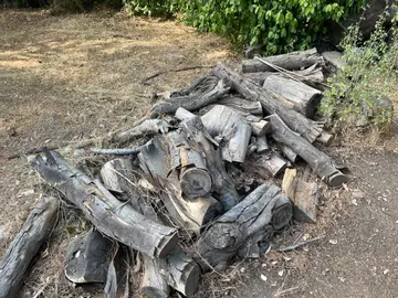 donne bois de chauffage