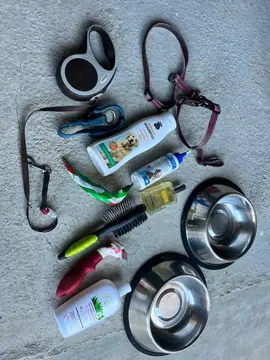 lot d accessoires pour chien