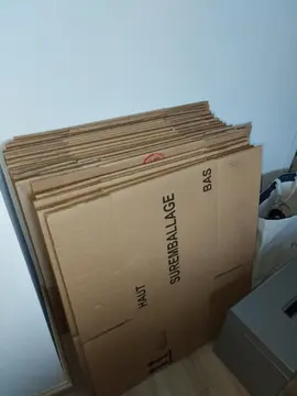 Donne cartons