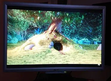 Acer AL2216W
