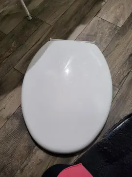 abattant toilette