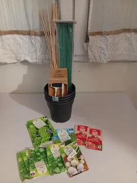 pot et graines à planter