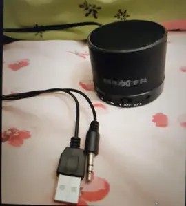 mini enceinte ordinateur