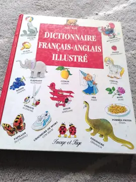 dictionnaire français-anglais illustré