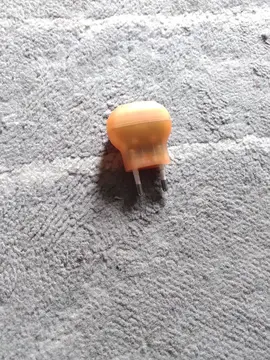 prise veilleuse
