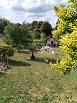 Bois de chauffage