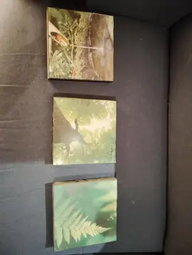 3 petits tableaux nature