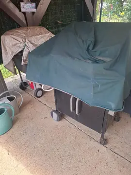 barbecues