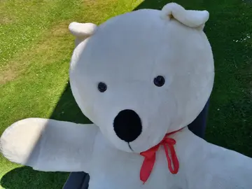 Ours en peluche
