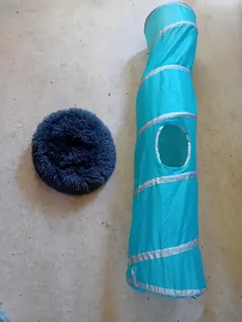 Tube de jeu et coussin pour petit schats