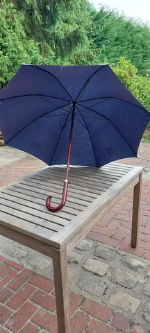 parapluie bleu marine