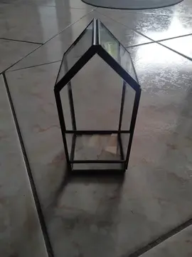 cage plante