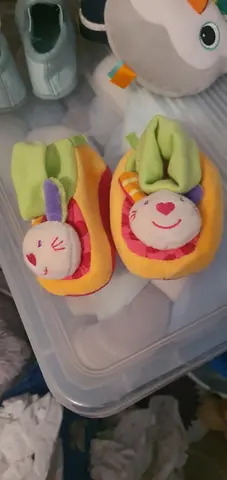 chasusons