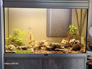 aquarium