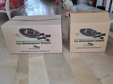 Cartons Déménagement
