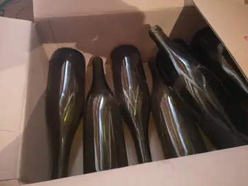 8 bouteilles de vin vides