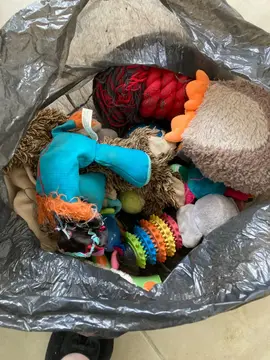 divers jouets pour chien déjà utilisés