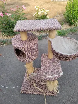 arbre à chat ficelle à changé