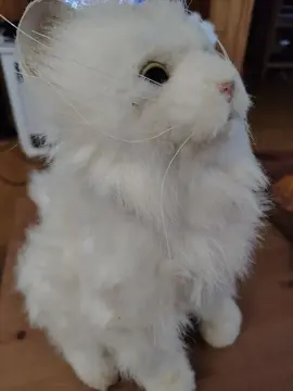 robot chat 35 cm