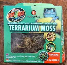 Mousse pour terrarium