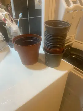 donne petit pots plastique 12 petits et 3 un peu plus grand