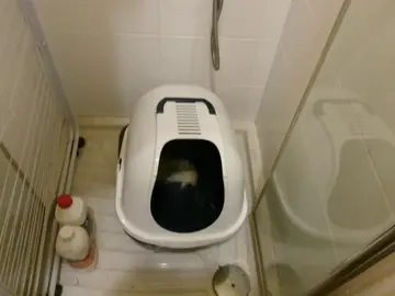 litiere pour chat
